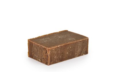 BIO Body Soap – Cinnamon Cocoa